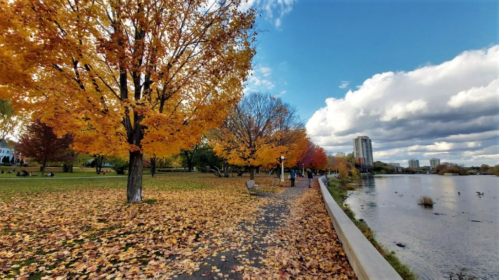 View of Strathcona park in fall