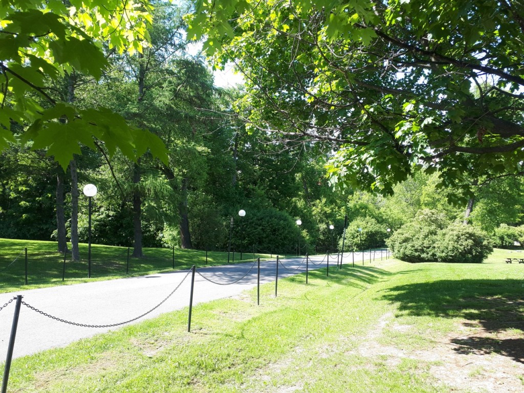 Vincent Massey Park in summer